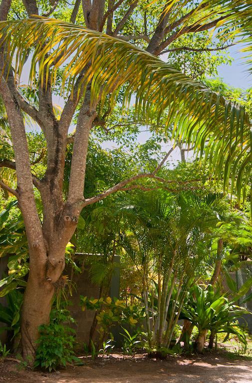 Gardens Retreat Villa Pereybere Beach ภายนอก รูปภาพ
